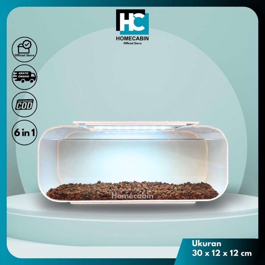 Aquarium Baby Chana / Aquarium mini / Aquarium Channa