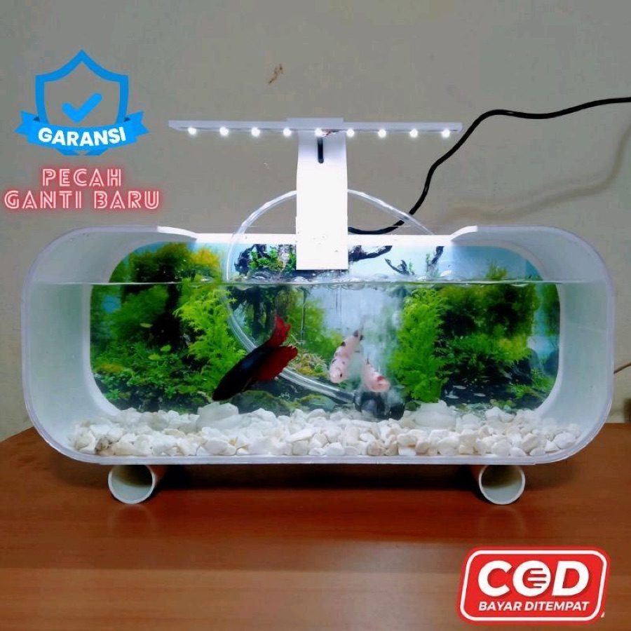 Aquarium Akrilik Plus Pompa Aerator